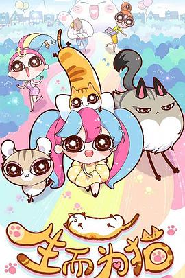 哪个网站有优化的书籍啊